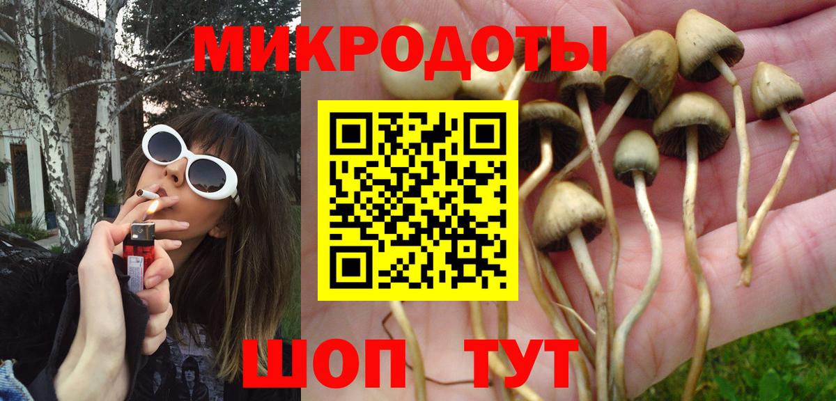 Галлюциногенные грибы ЛСД Дербент