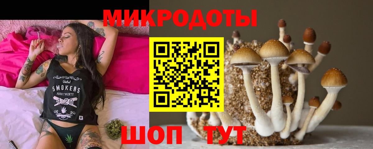 Дербент  Псилоцибиновые грибы Psilocybine cubensis  Вход с VPN 